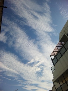 a0225587_762664.jpg