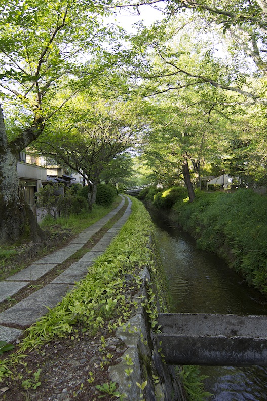 哲学の道　五月_b0188590_22455649.jpg