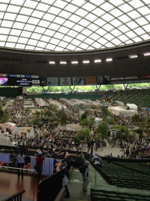 国際バラとガーデニングショウ2012/ナナ_c0195791_14434681.jpg