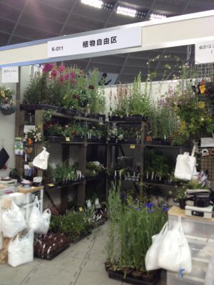 国際バラとガーデニングショウ2012/ナナ_c0195791_14435013.jpg