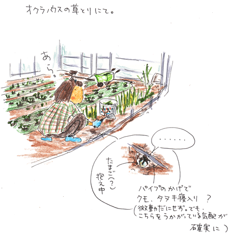 f0236291_16573128.gif