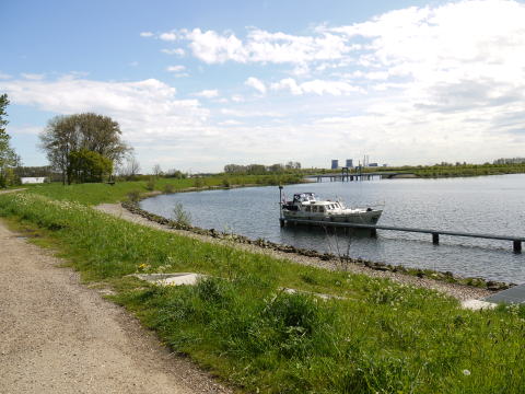 c0090198_3554385.jpg