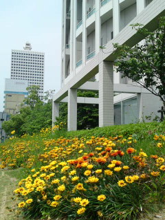 b0043506_20525688.jpg