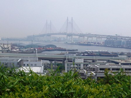 2012　港の見える丘公園のバラ_e0117613_12313647.jpg