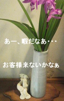 しげガッパ?_e0234016_16361741.jpg