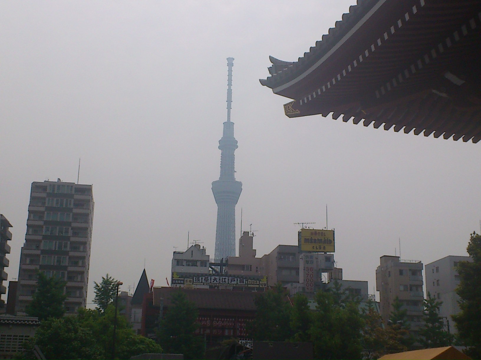 三社祭_e0124021_1459542.jpg