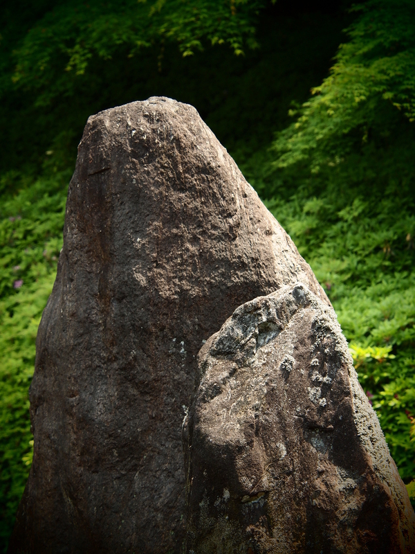 　憚（はばかる）　ことはない　東福寺塔頭寺院　_d0252924_1340374.jpg