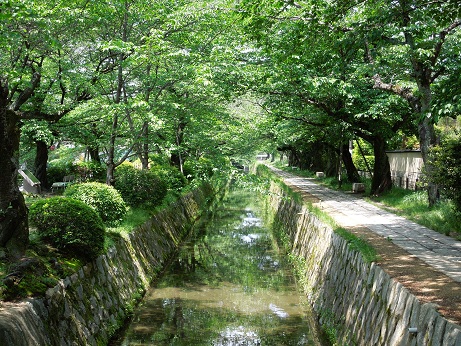 哲学の道 ~京都~_c0235725_0201531.jpg
