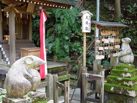哲学の道 ~京都~_c0235725_0314036.jpg