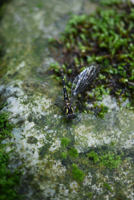 e0200926_87613.jpg