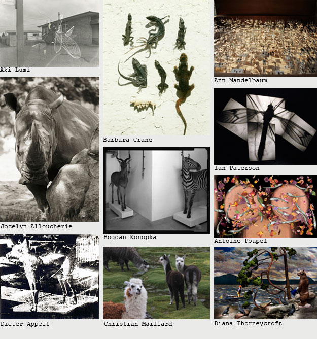 オノデラユキ氏 グループ展「La ferme des animaux」_b0187229_18381293.jpg