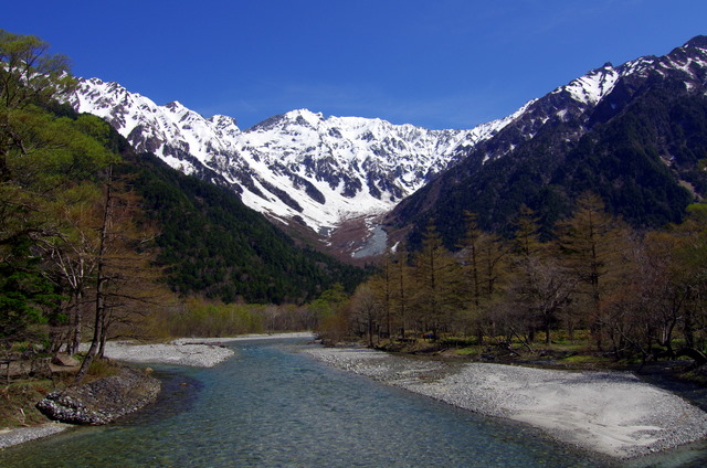 d0186245_15141960.jpg