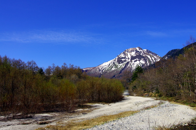 d0186245_1514460.jpg
