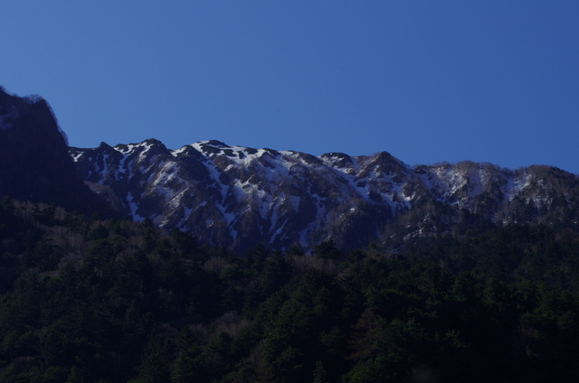d0186245_1562585.jpg