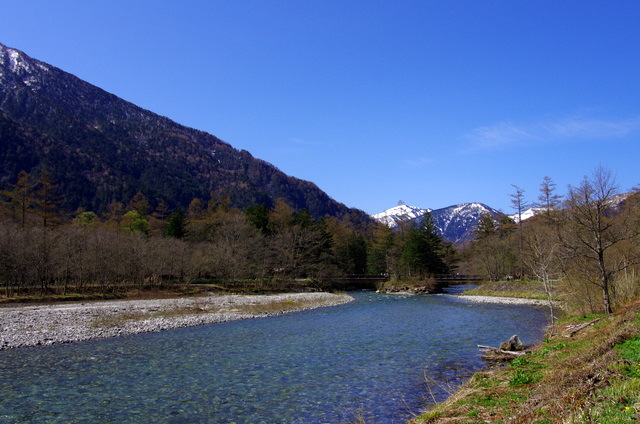 d0186245_159943.jpg
