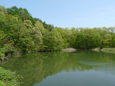 大泉のフットパス_f0019247_045968.jpg