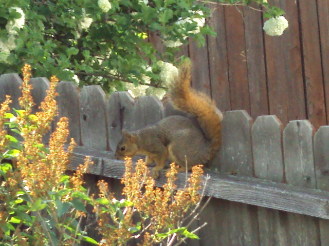 a0204348_7482429.jpg