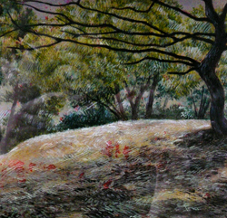 木下闇_a0017350_23384678.jpg