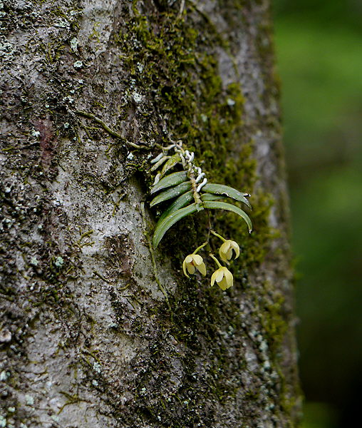 d0091754_0071.jpg