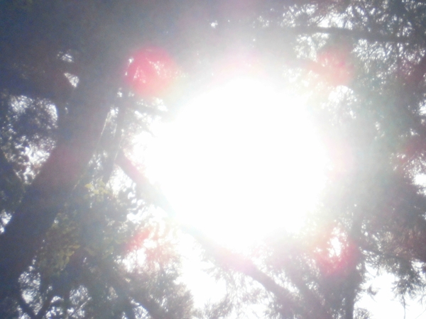 a0174458_15204927.jpg