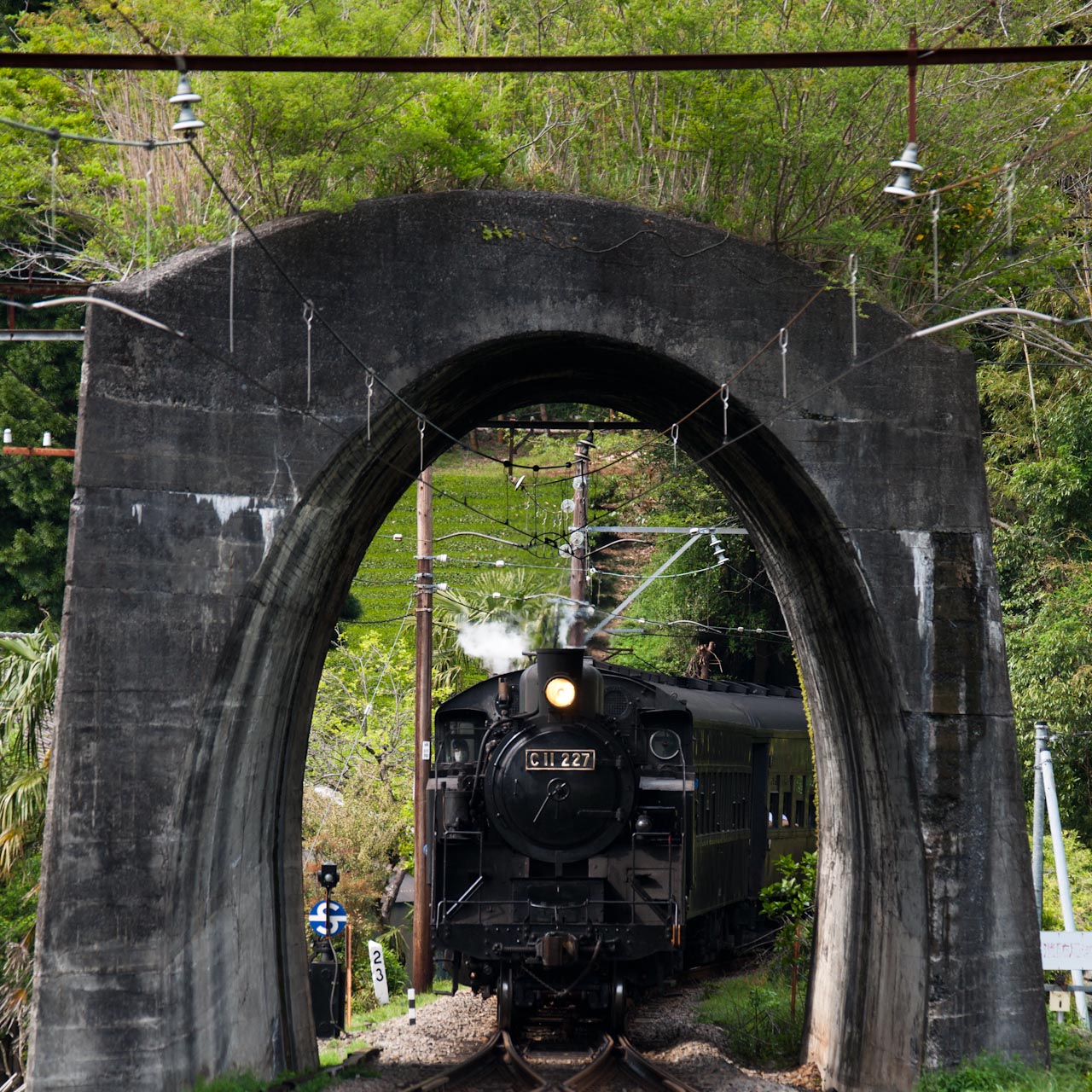 a0212158_21715.jpg