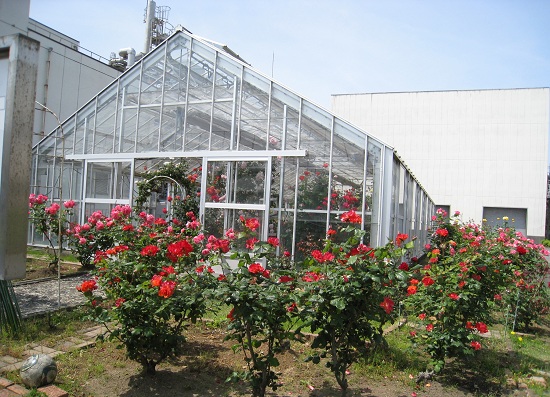 d0164761_1493230.jpg