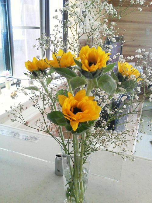 ひまわりとかすみ草 タク リンと一緒 ひまわりとかすみ草 タク リンと一緒