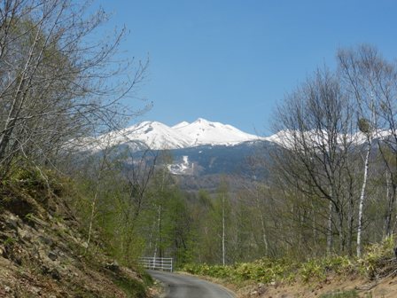 d0226767_174108.jpg