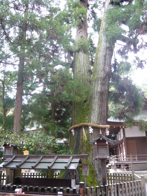 大神神社（おおみわじんじゃ）＠奈良 三輪：京都奈良パワースポット＆グルメ旅行記_d0108969_12153236.jpg