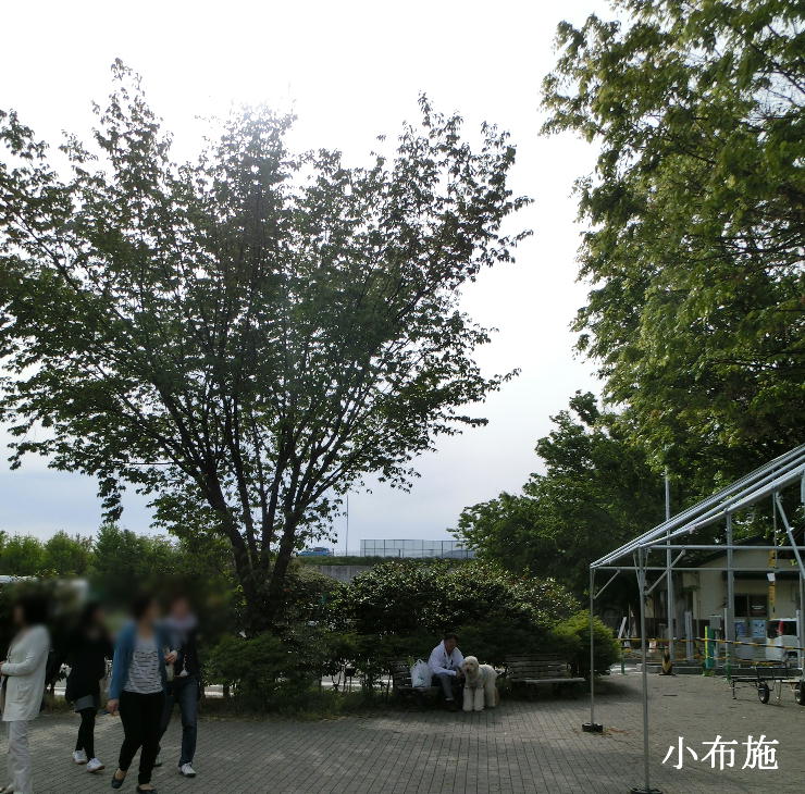 d0216270_1303836.jpg