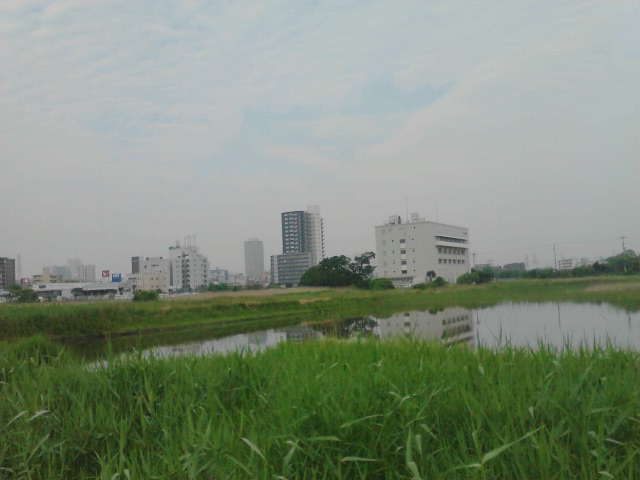 b0155973_72559.jpg