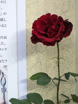 d0099791_03237.jpg