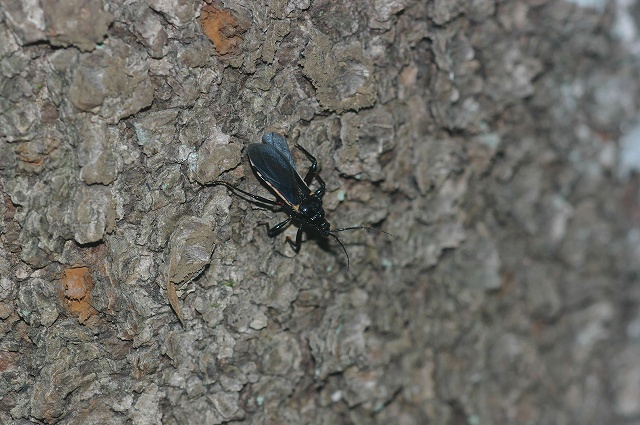 e0070891_2294841.jpg