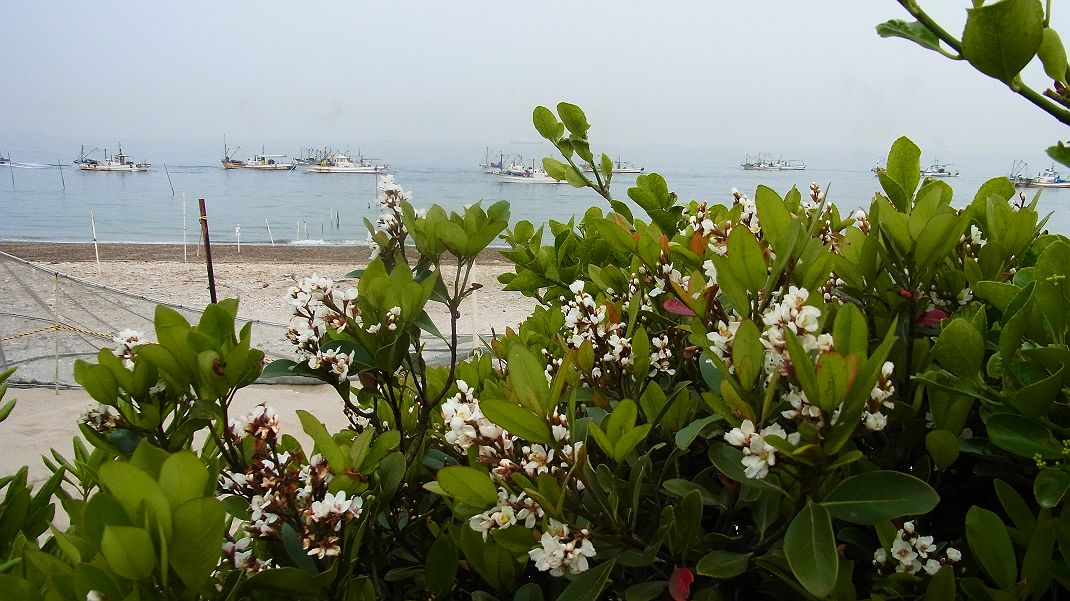 a0152692_18232049.jpg