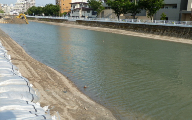 f0166694_20411517.jpg