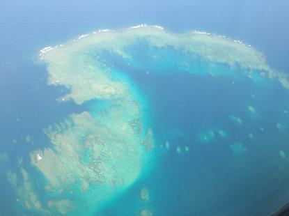 e0077899_824545.jpg