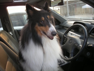 f0081100_9263117.jpg