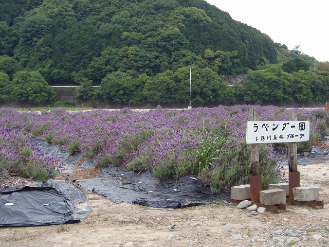 c0125501_1044167.jpg