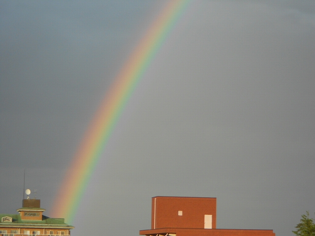 b0147203_2304473.jpg