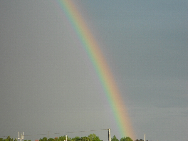 b0147203_231061.jpg