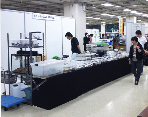 c0165803_23846.jpg