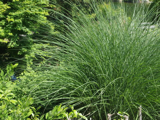 f0167007_2233276.jpg