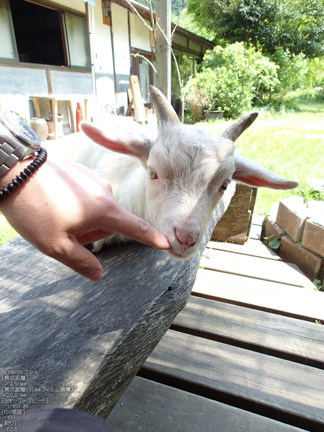 お昼ごはんは月うさぎさん_f0221510_2353451.jpg