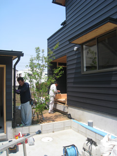 完成です(ほぼ・・・)_b0179213_19125859.jpg