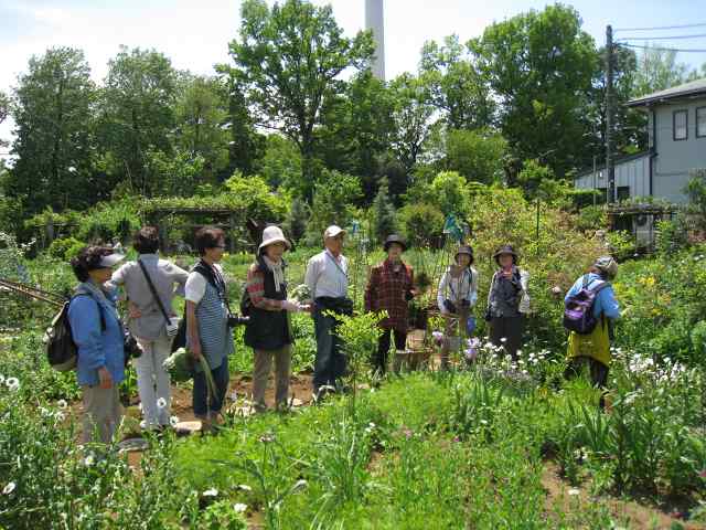 第19回　薬用植物園ほか巡り_e0117318_2214699.jpg