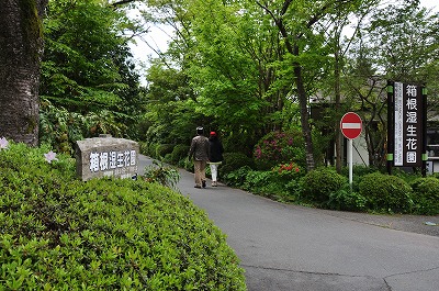 草花と造形美を写し撮る_d0070920_20394310.jpg