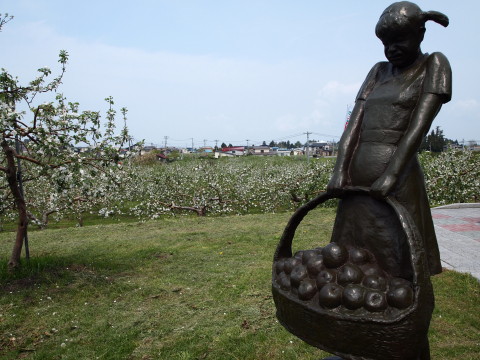 りんごの花20120518:弘前市りんご公園(弘前市)_b0147224_1714877.jpg