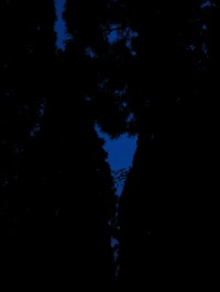 c0189724_17313683.jpg
