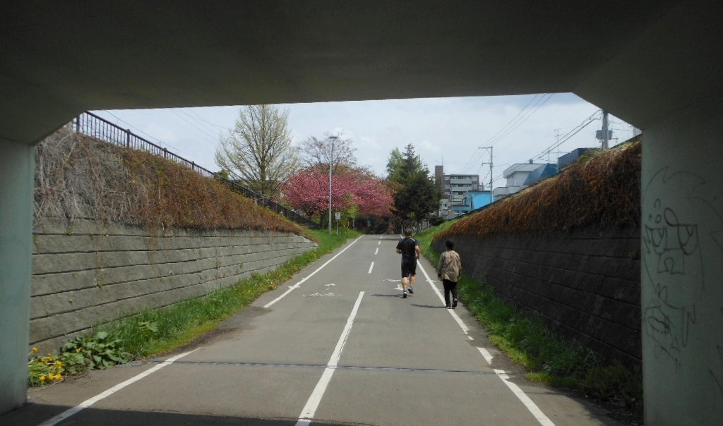 1756)　「昨日の風景　サイクリング・ロードの八重桜&昼食」_f0126829_2234525.jpg