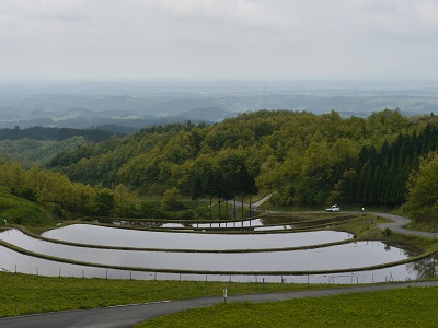 e0252832_15555744.jpg